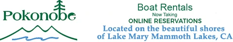 Pokonobe Lodge and Marina